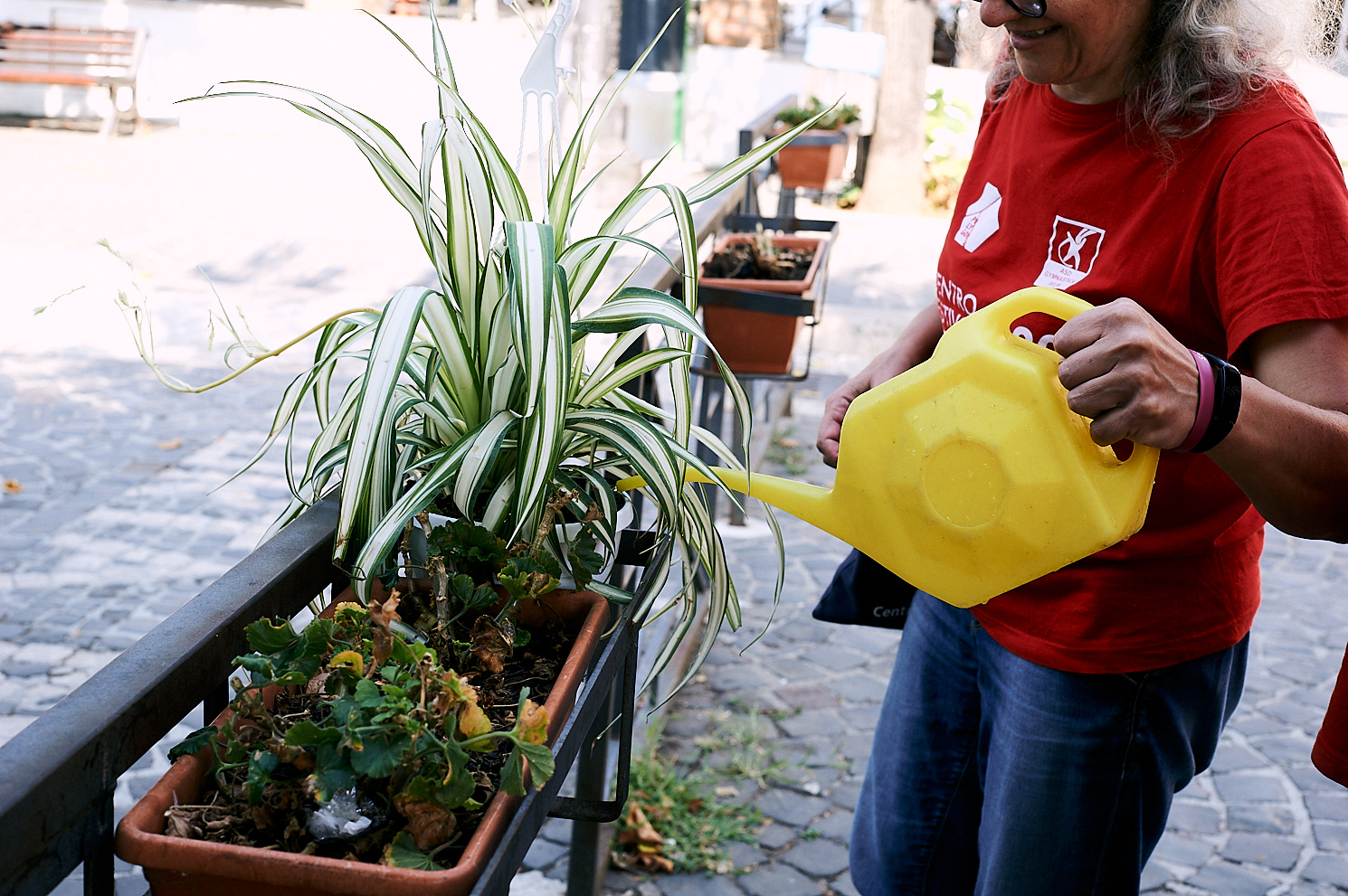 gestione delle aree verdi urbane