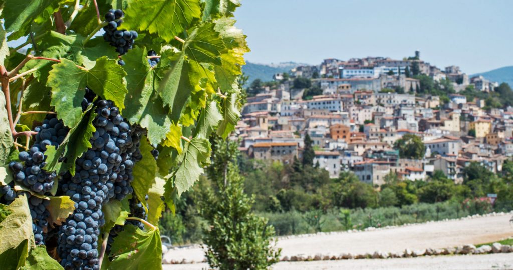 Cori, borgo medievale del Lazio, visto da uno scorcio con vigna della cantina Cincinnato