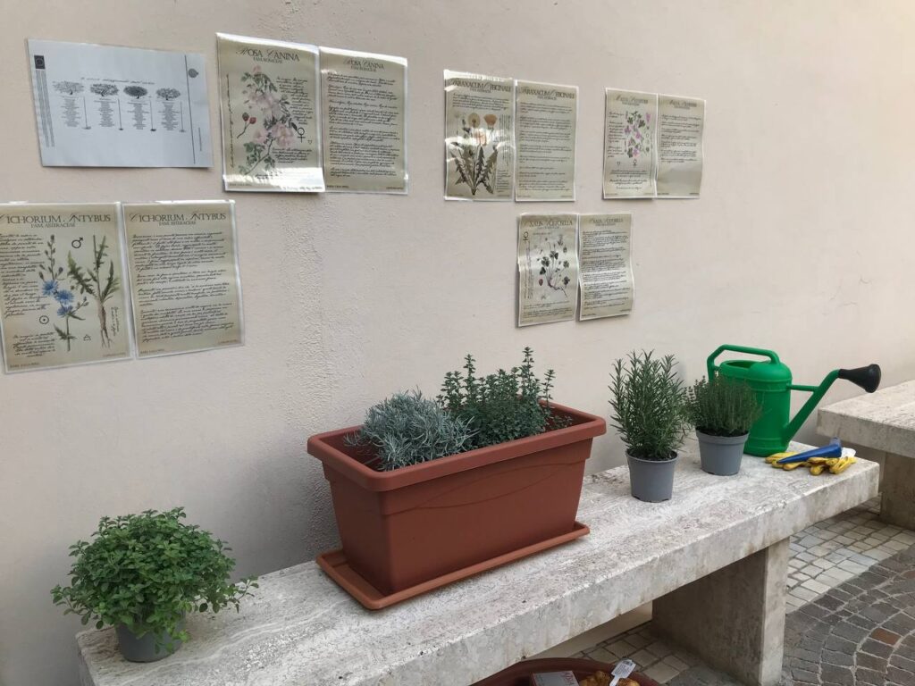 giardino accessibile biblioteca